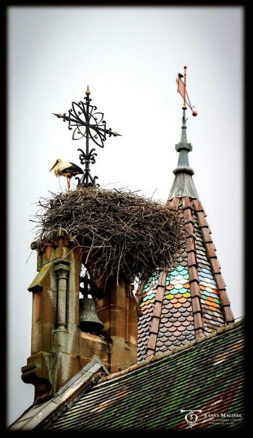 Gite St Léon à Eguisheim Exterior foto